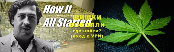 ешки Алзамай