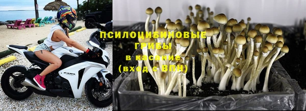 ешки Алзамай